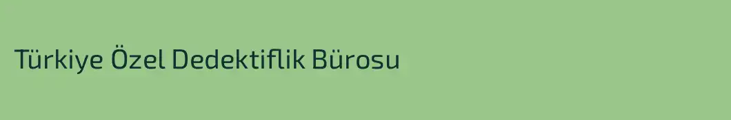 Türkiye Özel Dedektiflik Bürosu